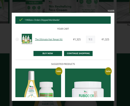 Himalayan Spring Water 1L